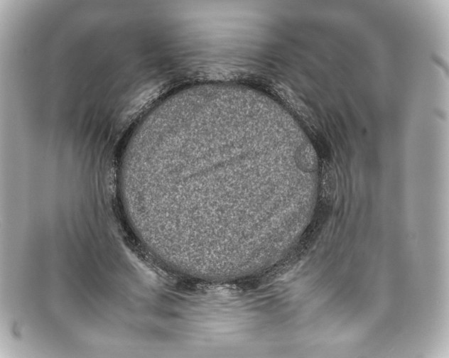 X0000097960683200804211103