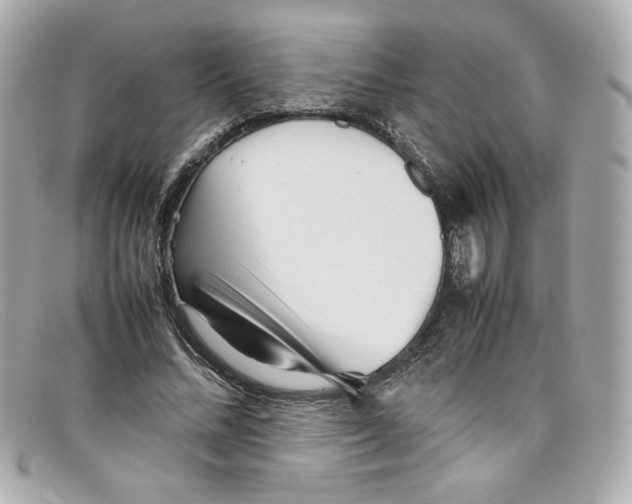 X0000097960684200804211103
