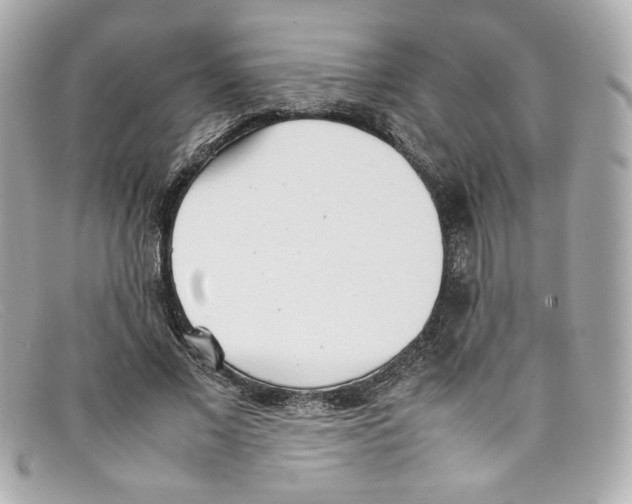 X0000097960685200804211103