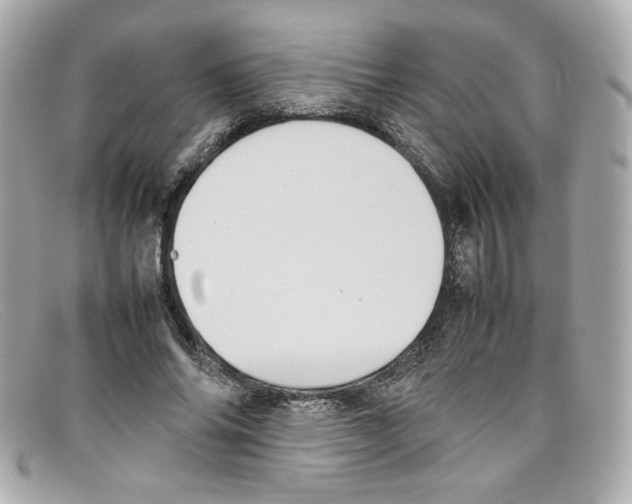 X0000097960686200804211103