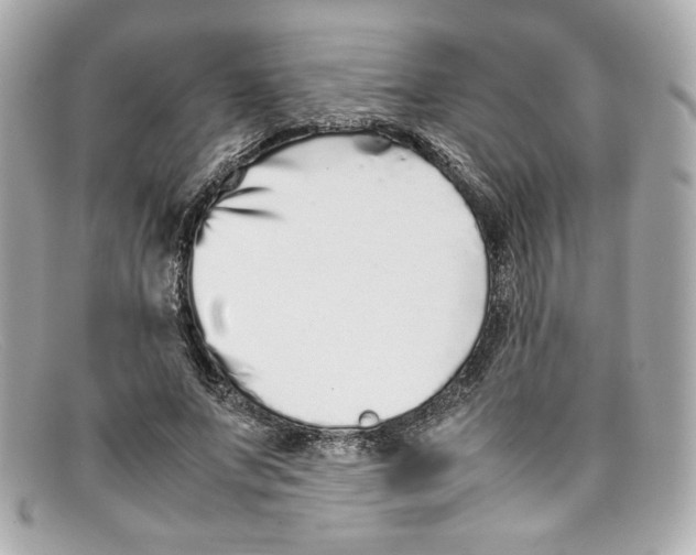 X0000097960687200804211103