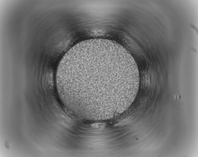 X0000097960700200804211103