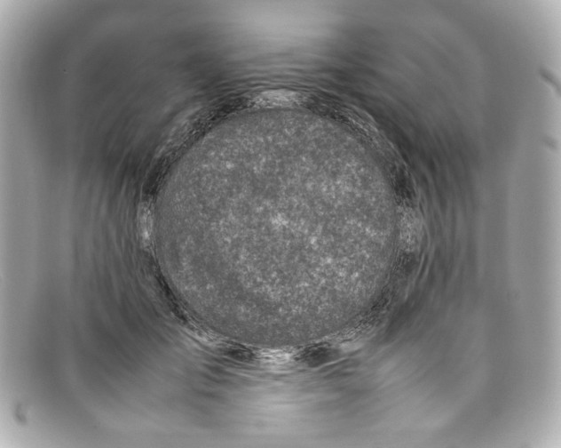 X0000097960701200804211103