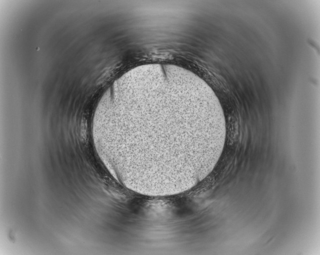 X0000097960704200804211103