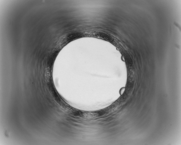 X0000097960707200804211103