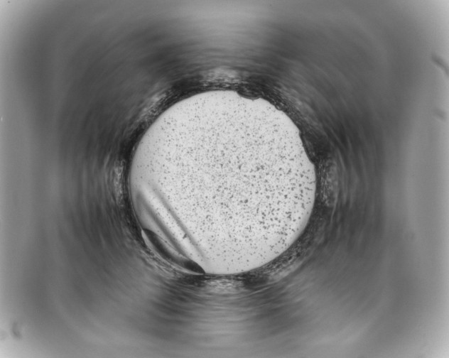 X0000097960708200804211103