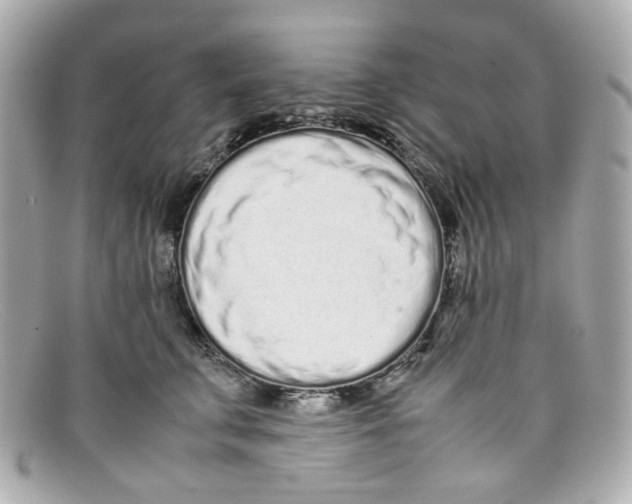 X0000097960711200804211103
