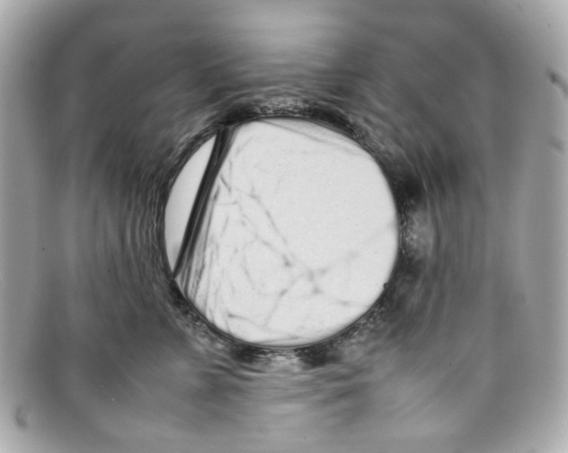 X0000097960715200804211103