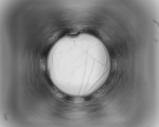 X0000097960719200804211103