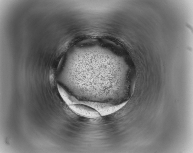 X0000097960720200804211103