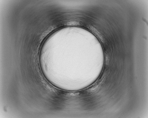 X0000097960721200804211102