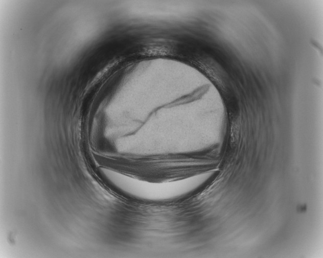 X0000097960722200804211102