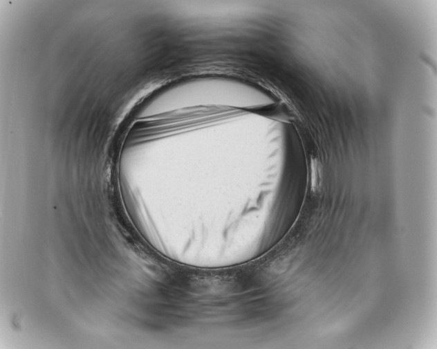 X0000097960723200804211102