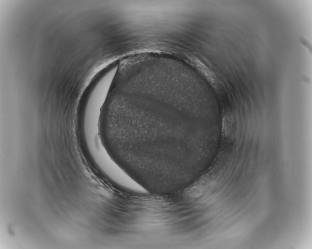 X0000097960724200804211102