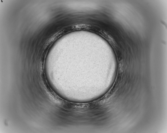 X0000097960725200804211102