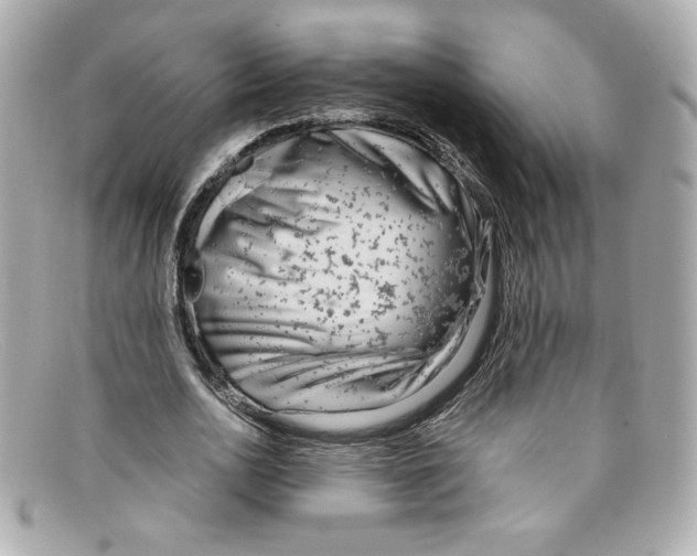 X0000097960726200804211102
