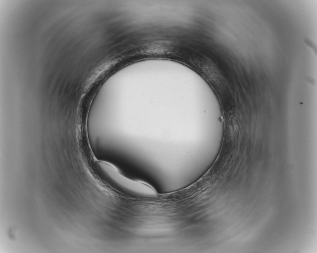 X0000097960728200804211102