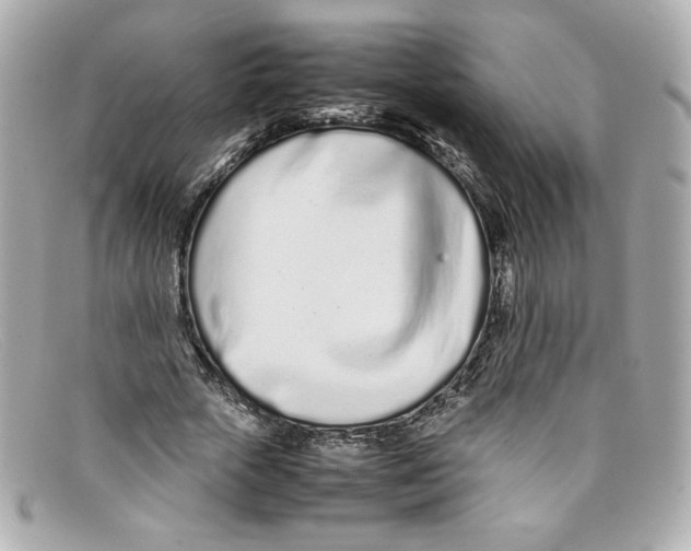 X0000097960729200804211102