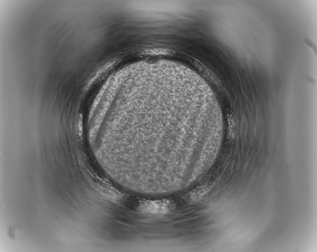 X0000097960731200804211102