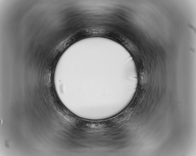 X0000097960733200804211102