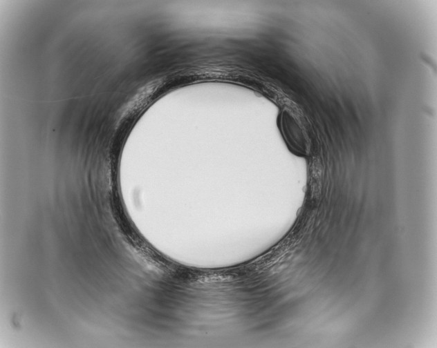 X0000097960734200804211102