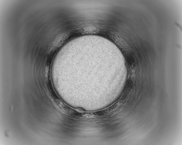 X0000097960742200804211102