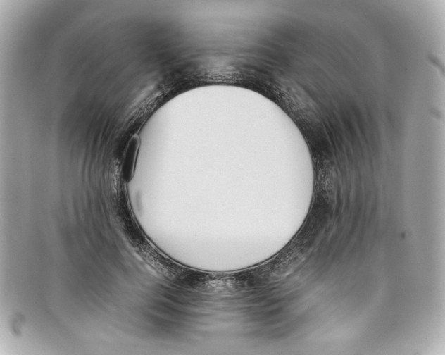 X0000097960744200804211102