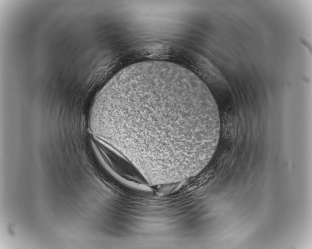 X0000097960748200804211102