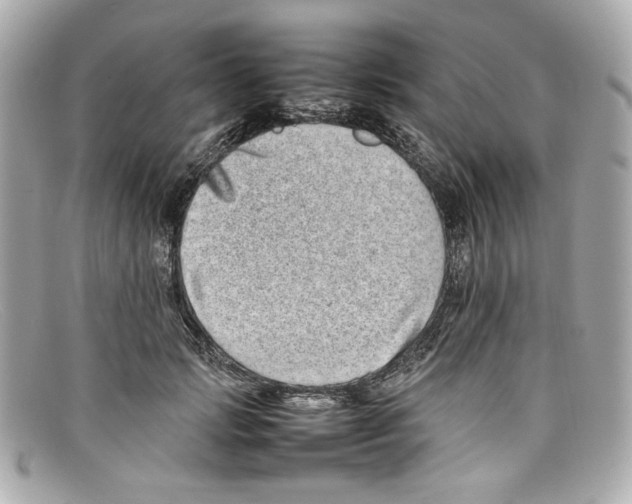 X0000097960749200804211102