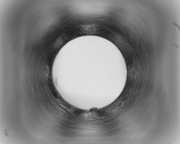 X0000097960752200804211102
