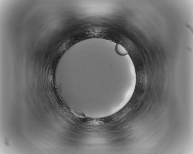 X0000097960754200804211102
