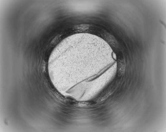 X0000097960758200804211102
