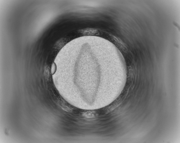 X0000097960761200804211102
