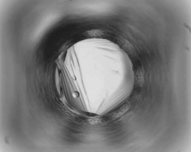 X0000097960762200804211102