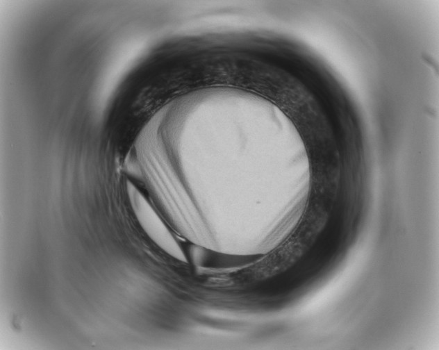 X0000097960766200804211102
