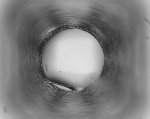 X0000097960773200804211101