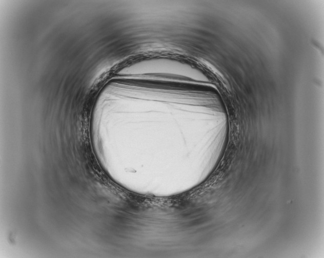 X0000097960775200804211101