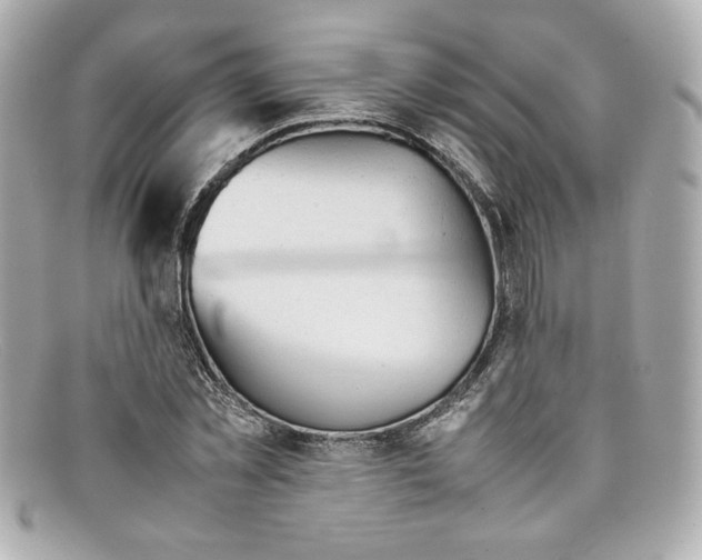 X0000097960781200804211101