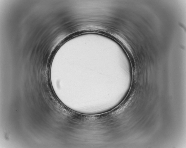 X0000097960783200804211101