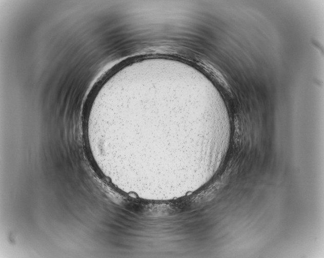 X0000097960784200804211101
