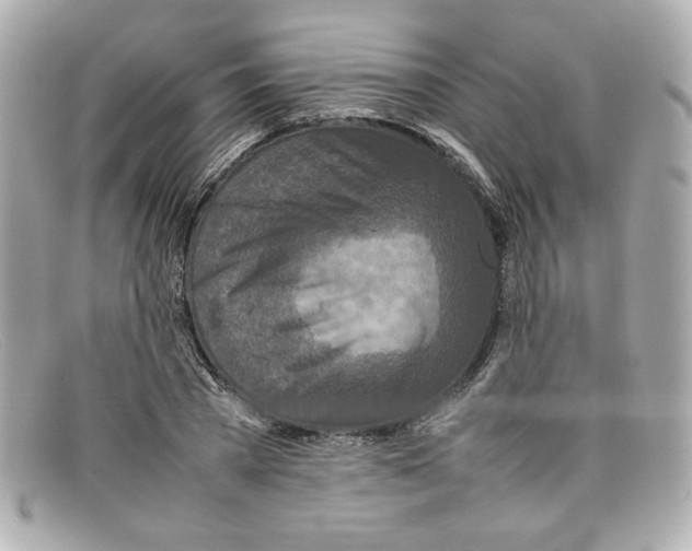 X0000097960785200804211101