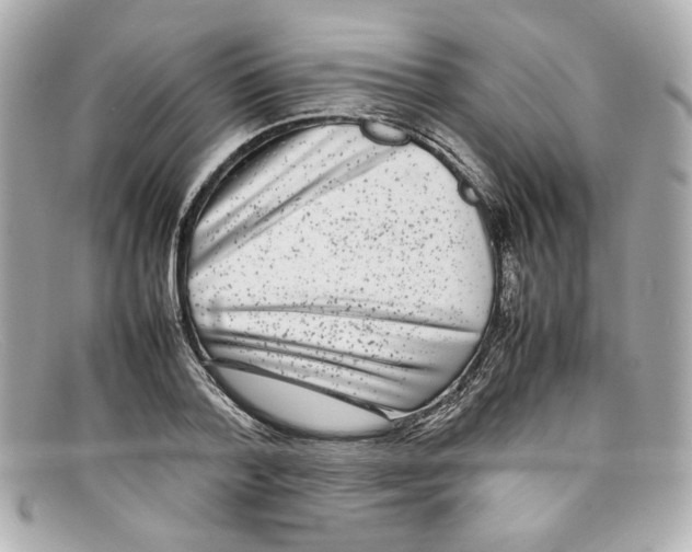 X0000097960788200804211101