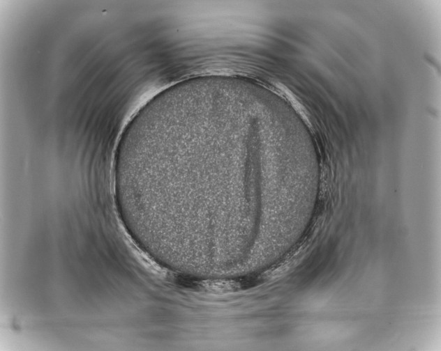 X0000097960795200804211101