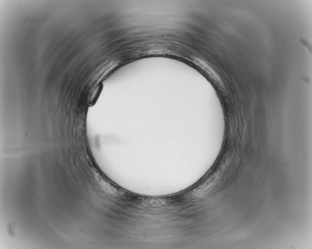 X0000097960801200804211101