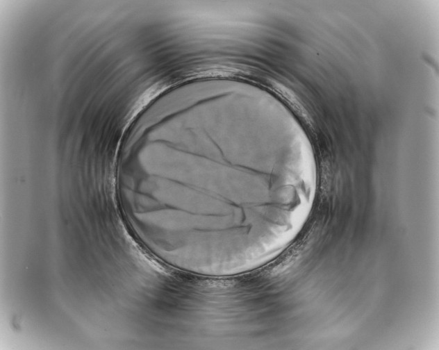 X0000097960802200804211101