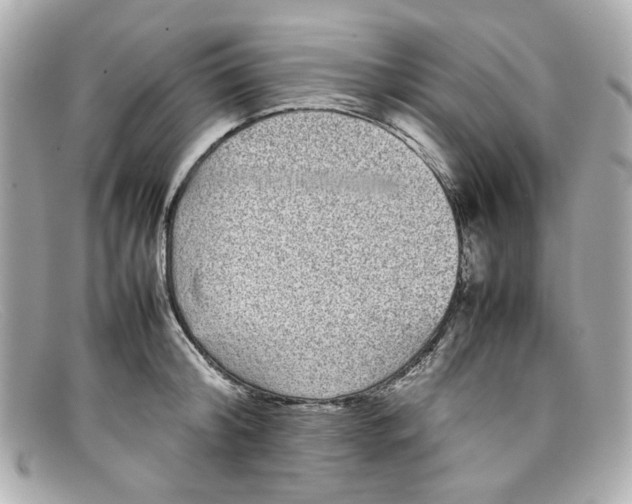 X0000097960804200804211101