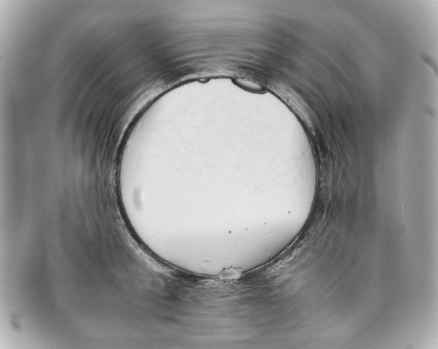 X0000097960805200804211101
