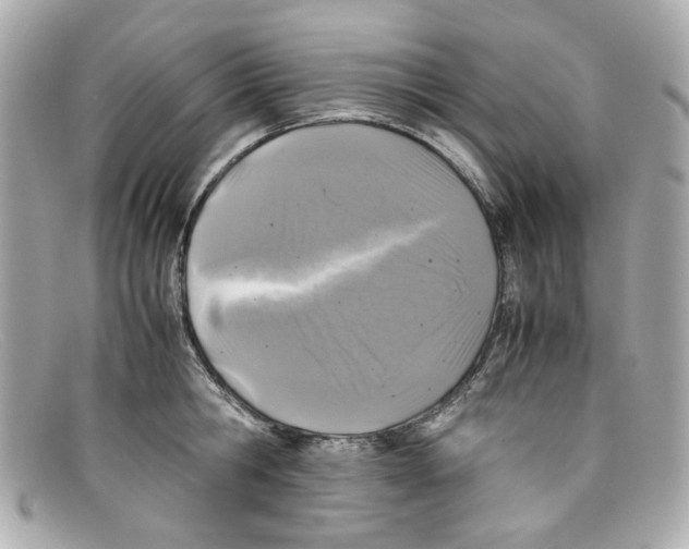 X0000097960806200804211101