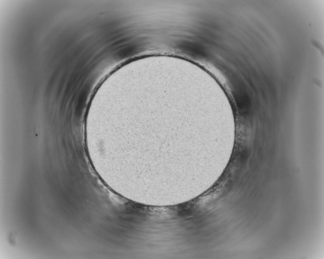 X0000097960807200804211101