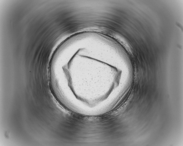 X0000097960808200804211101